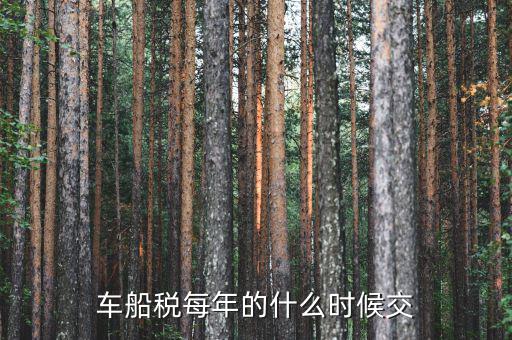 車船稅從什么時(shí)間交，車船稅什么時(shí)候交比如要交2017年的是2016年12月31日前交還是