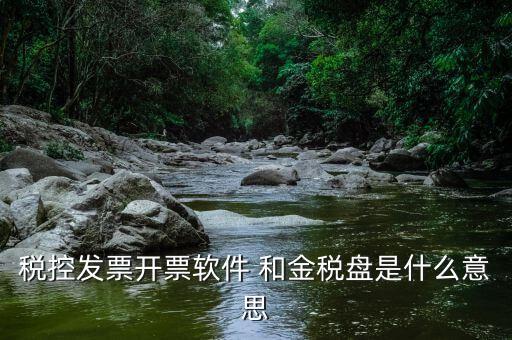 稅控開(kāi)票軟件什么意思，稅控發(fā)票開(kāi)票軟件 和金稅盤是什么意思
