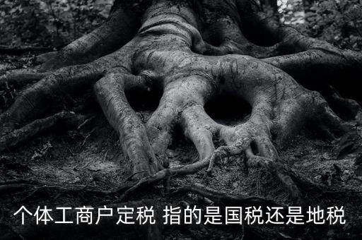 個體戶定稅是什么意思，疑難國稅個體戶定稅