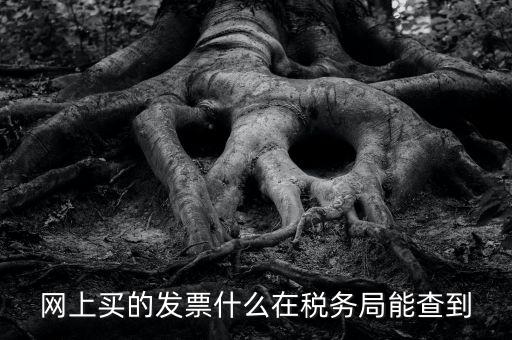 網(wǎng)上查發(fā)票能查到什么內(nèi)容，網(wǎng)上買的發(fā)票什么在稅務(wù)局能查到