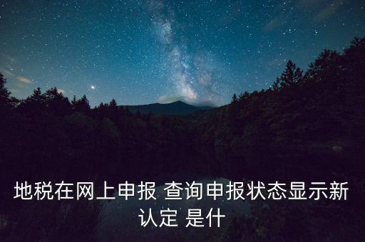 地稅在網(wǎng)上申報 查詢申報狀態(tài)顯示新認定 是什
