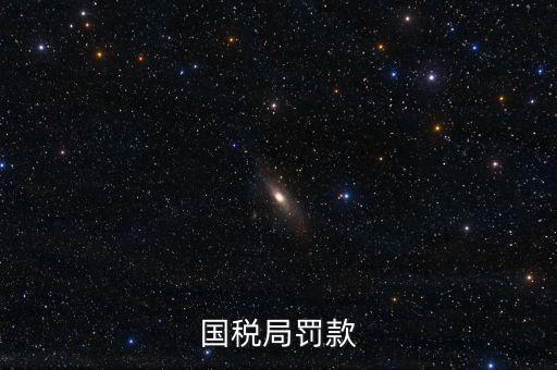 國(guó)稅局罰款