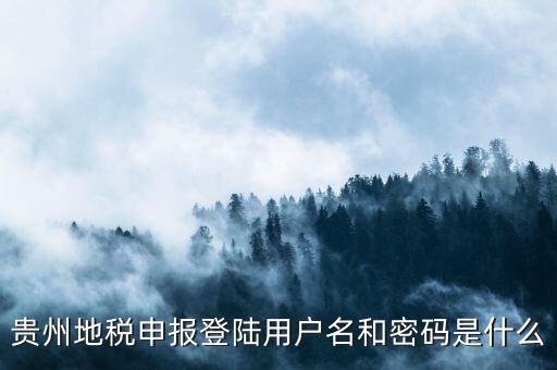 地稅登錄名密碼是什么意思，地稅申報的用戶名和密碼是什么
