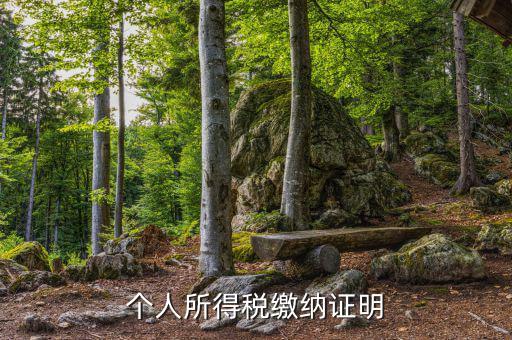 個人稅務(wù)證明是什么，什么是個人納稅證明