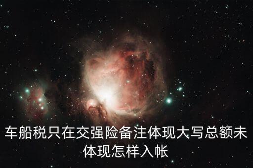 車船稅只在交強險備注體現(xiàn)大寫總額未體現(xiàn)怎樣入帳