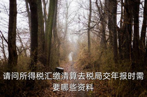 公司稅務年報需要什么，問企業(yè)所得稅年報怎么報需要什么資料