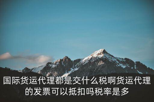 貨代公司交什么稅，國(guó)際貨運(yùn)代理都是交什么稅啊貨運(yùn)代理的發(fā)票可以抵扣嗎稅率是多