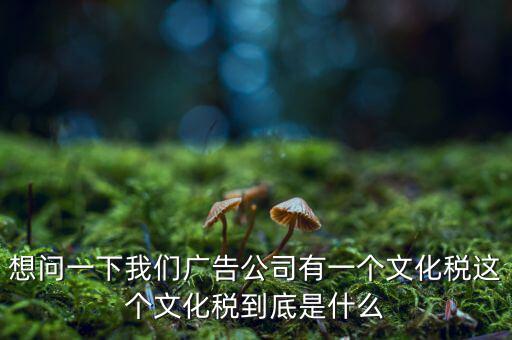 什么是稅務文化，和諧地稅文化的內(nèi)涵應包括哪些方面