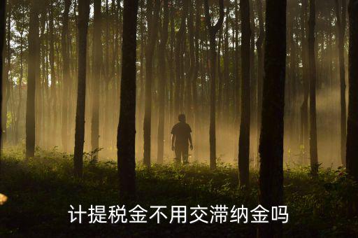 什么稅沒有滯納金，各種稅的滯納金一樣么