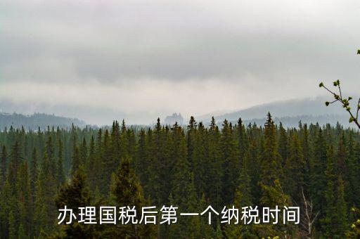 報稅后什么時候交稅，辦理國稅后第一個納稅時間