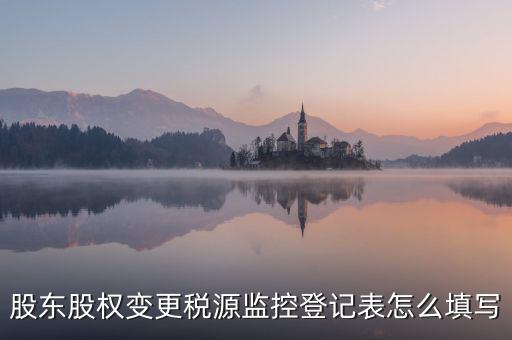 股東股權變更稅源監(jiān)控登記表怎么填寫