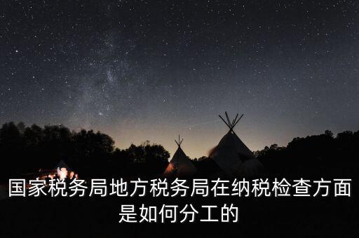 地方稅務(wù)局一案雙查是什么意思，國(guó)稅局一二稽查大隊(duì)是何意思