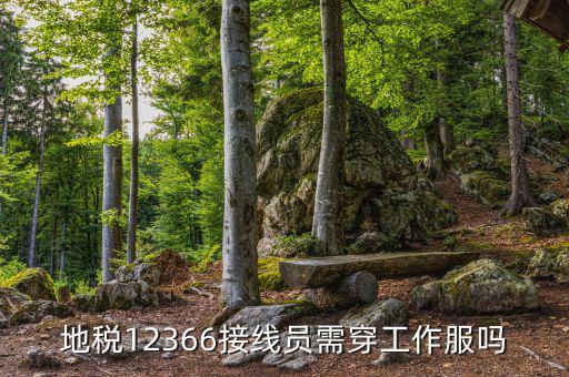 12366地稅主要負責什么，地稅是指什么