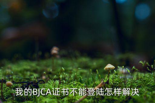 為什么ca證書不能登錄，我的BJCA證書不能登陸怎樣解決