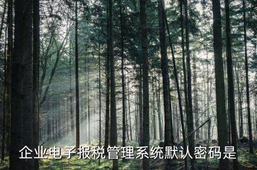 電子稅務(wù)局的初始密碼是什么，稅務(wù)局網(wǎng)站的登入賬戶初始密碼是什么
