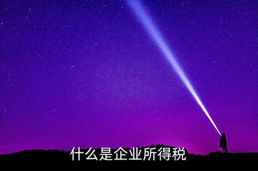 什么是公司所得稅，企業(yè)所得稅是什么意思