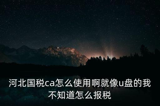 ca行助手是什么，稅務(wù)申報是否下載ca行助手就可以了