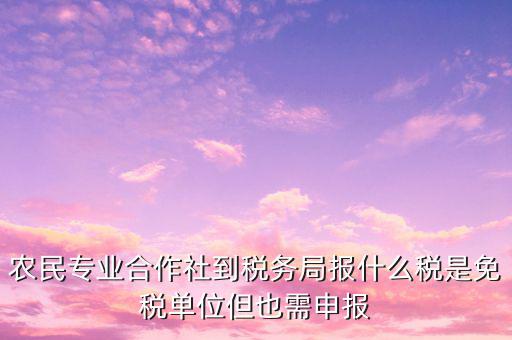 農(nóng)村合作社交什么稅，農(nóng)民合作社每個(gè)月要申報(bào)什么稅