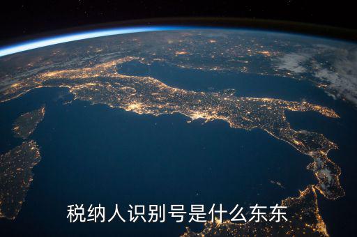 企業(yè)稅務(wù)識別號是什么意思，稅納人識別號是什么東東