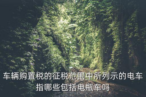 有軌電車征收什么稅，車輛購置稅的征稅范圍中所列示的電車指哪些包括電瓶車嗎