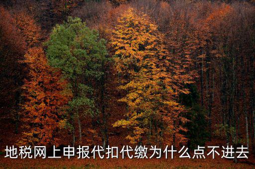 地稅從租計征為什么無法點開，地稅網(wǎng)上申報代扣代繳為什么點不進去