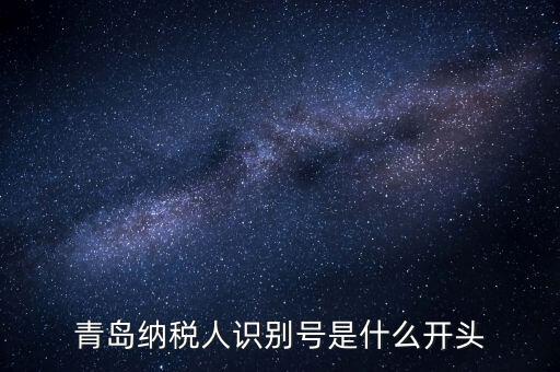 納稅人識別號什么開頭，納稅人識別號330100開頭的是哪個地方的