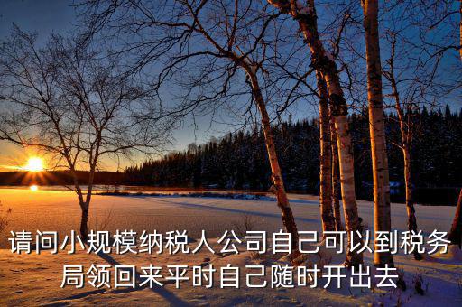 請(qǐng)問(wèn)小規(guī)模納稅人公司自己可以到稅務(wù)局領(lǐng)回來(lái)平時(shí)自己隨時(shí)開出去