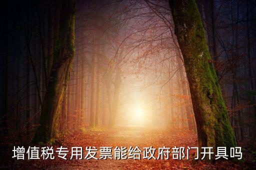 什么內(nèi)容的發(fā)票不可以給政府部門，增值稅專用發(fā)票能給政府部門開具嗎