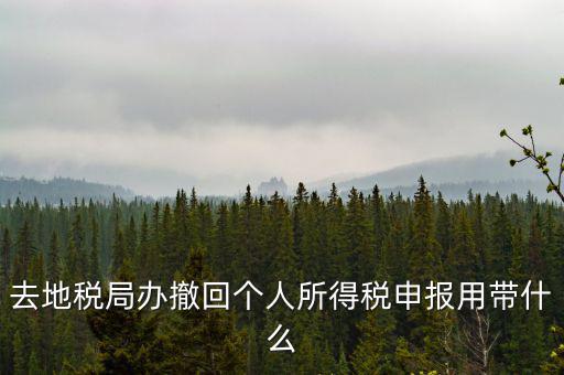 去地稅局辦撤回個人所得稅申報用帶什么