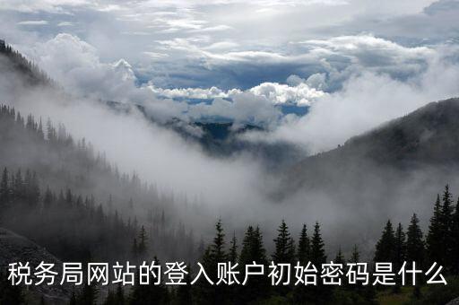 廣東國稅網(wǎng)登錄密碼是什么意思，稅務局網(wǎng)站的登入賬戶初始密碼是什么