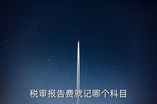 稅審費計入什么科目，稅審費屬于哪個科目