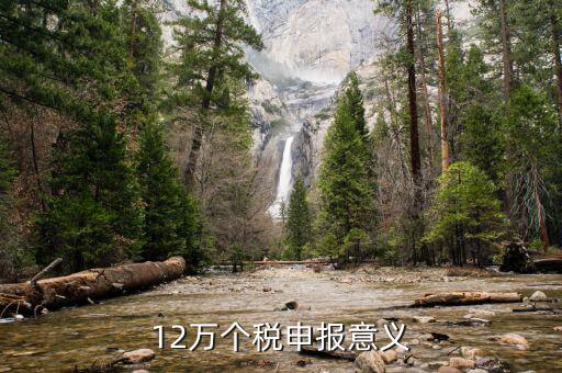 12萬(wàn)為什么個(gè)稅申報(bào)表，12萬(wàn)以上個(gè)人所得稅申報(bào)是什么意思
