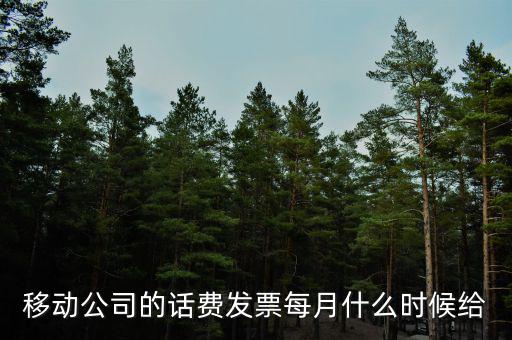 移動公司的話費(fèi)發(fā)票每月什么時候給