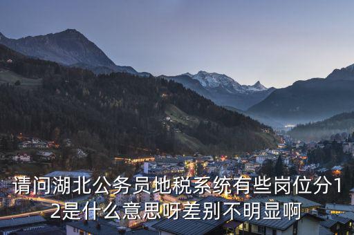 地稅上線是什么意思，0801國(guó)稅地稅啥意思