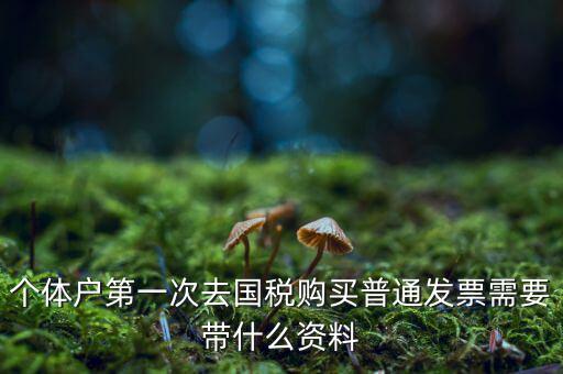 個(gè)體戶第一次去國(guó)稅購(gòu)買普通發(fā)票需要帶什么資料