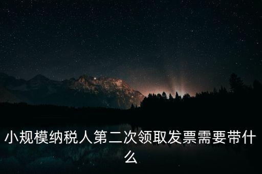 小規(guī)模納稅人第二次領(lǐng)取發(fā)票需要帶什么