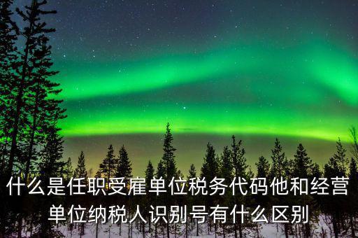 報稅自然人識別號是什么，個稅申報顯示存在相同唯一識別號是什么意思