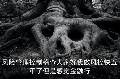 稽查風險管控是什么意思，股票中1風險提示 違規(guī)稽查是什么意思