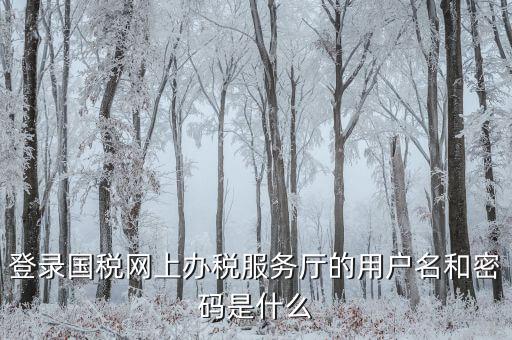 什么是電子稅務(wù)局登錄賬號，登錄國稅網(wǎng)上辦稅服務(wù)廳的用戶名和密碼是什么