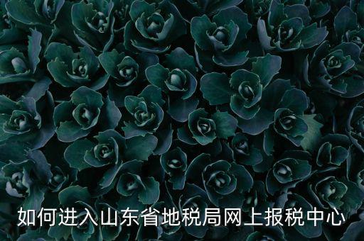 山東地稅密碼是什么，我在山東地稅網(wǎng)上報(bào)稅密碼怎么查