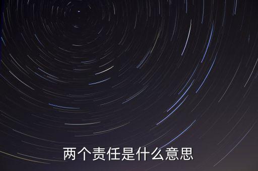 兩個(gè)責(zé)任是什么意思