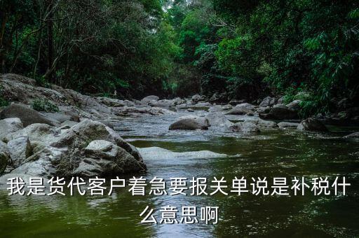我是貨代客戶著急要報關(guān)單說是補(bǔ)稅什么意思啊