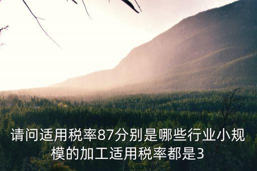 什么叫適用稅率，稅率是什么