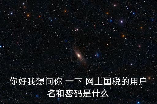 什么是電子稅務(wù)局密碼，你好我想問你 一下 網(wǎng)上國稅的用戶名和密碼是什么