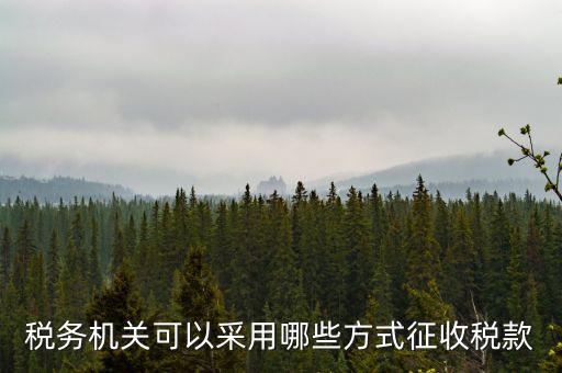 稅務(wù)局按什么征收稅務(wù)，稅務(wù)機(jī)關(guān)可以采用哪些方式征收稅款