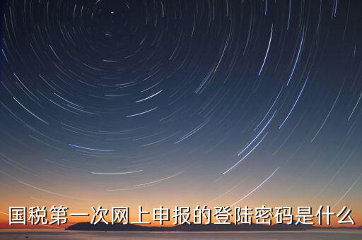國稅第一次網上申報的登陸密碼是什么