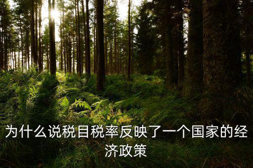 為什么說稅目稅率反映了一個國家的經(jīng)濟政策
