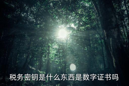 稅務(wù)密鑰是什么東西是數(shù)字證書(shū)嗎