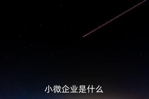 小微企業(yè)包括什么，小微企業(yè)是什么