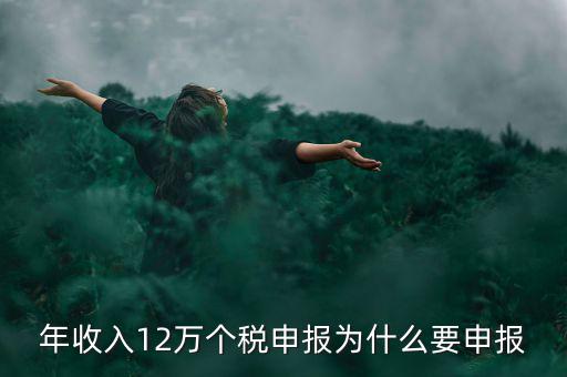 為什么12萬個稅申報表，12萬以上個人所得稅申報是什么意思